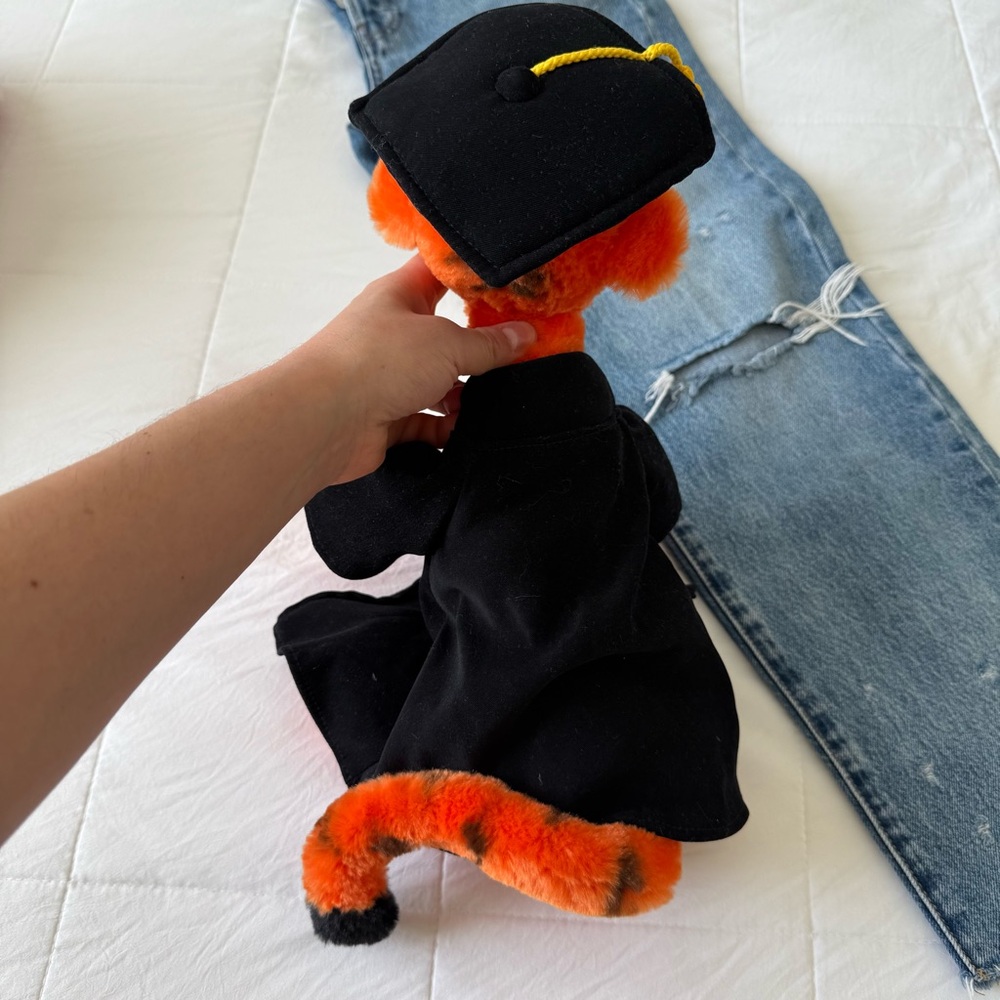Disney Tiger Orange Plush‎ Toy with Black Graduation Cape - Picture 4 of 4